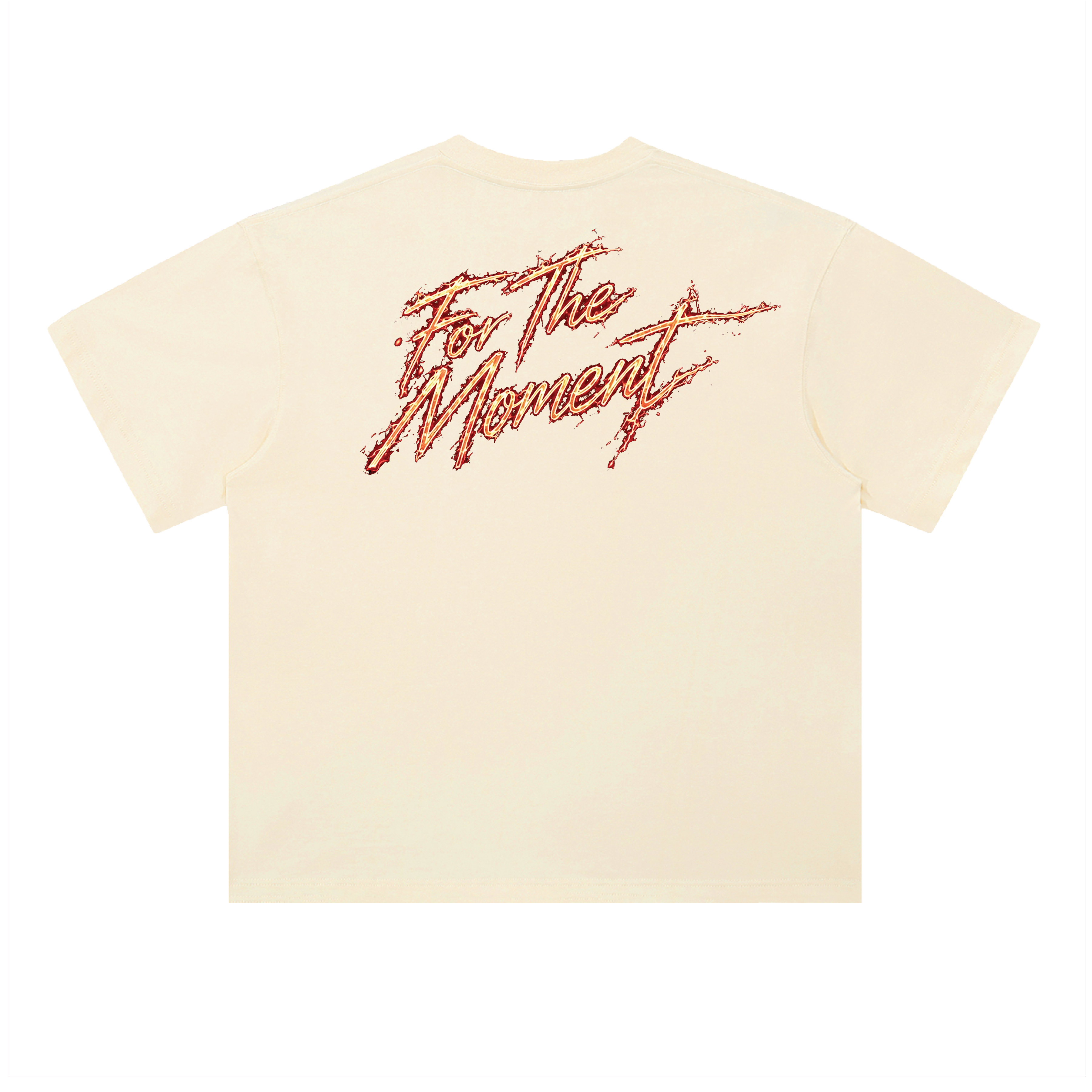 FOR THE MOMENT SHUFFLE ZOOM S/S T-SHIRT