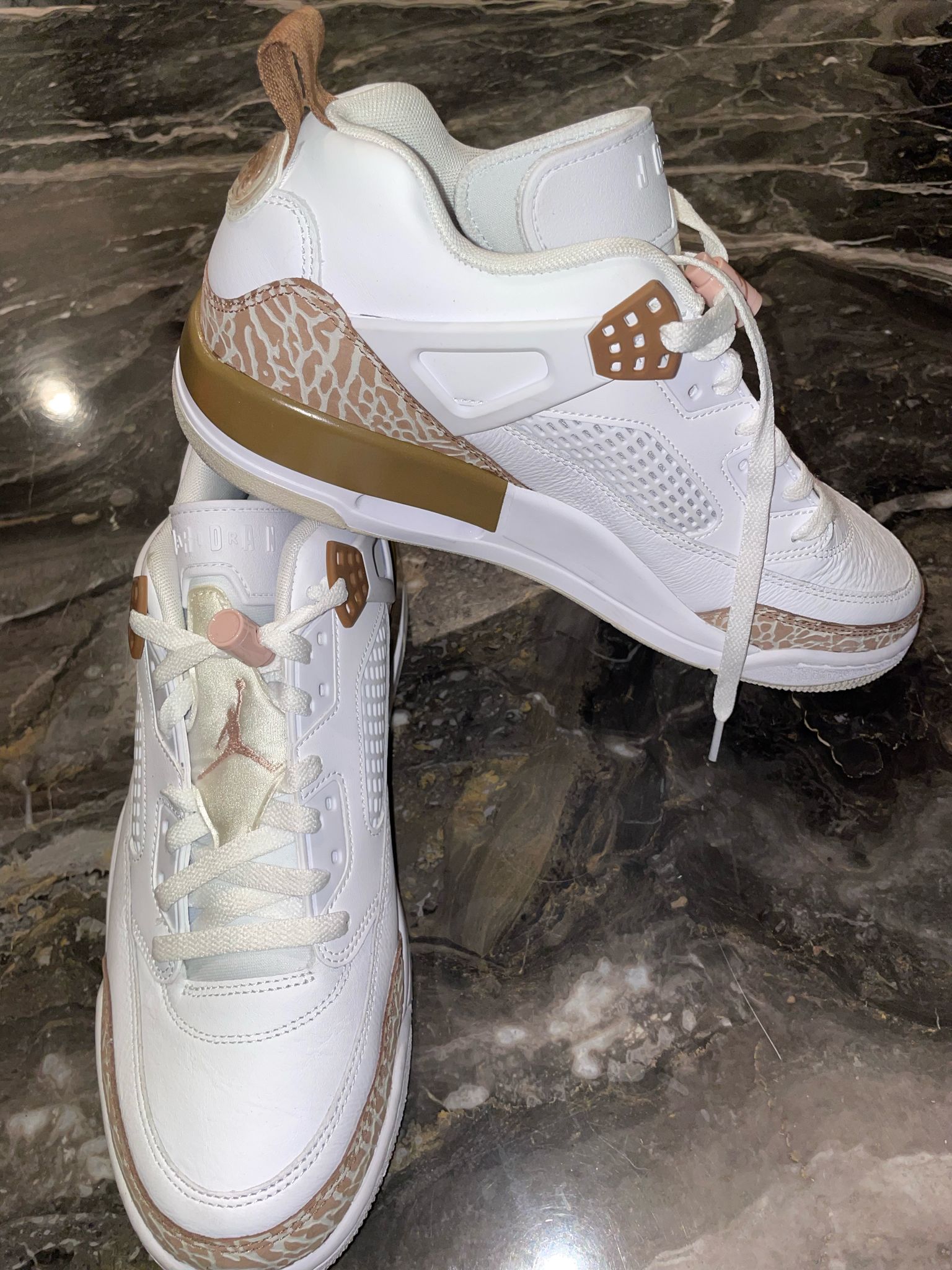 Chris Brown Jordan Spizke Shoes