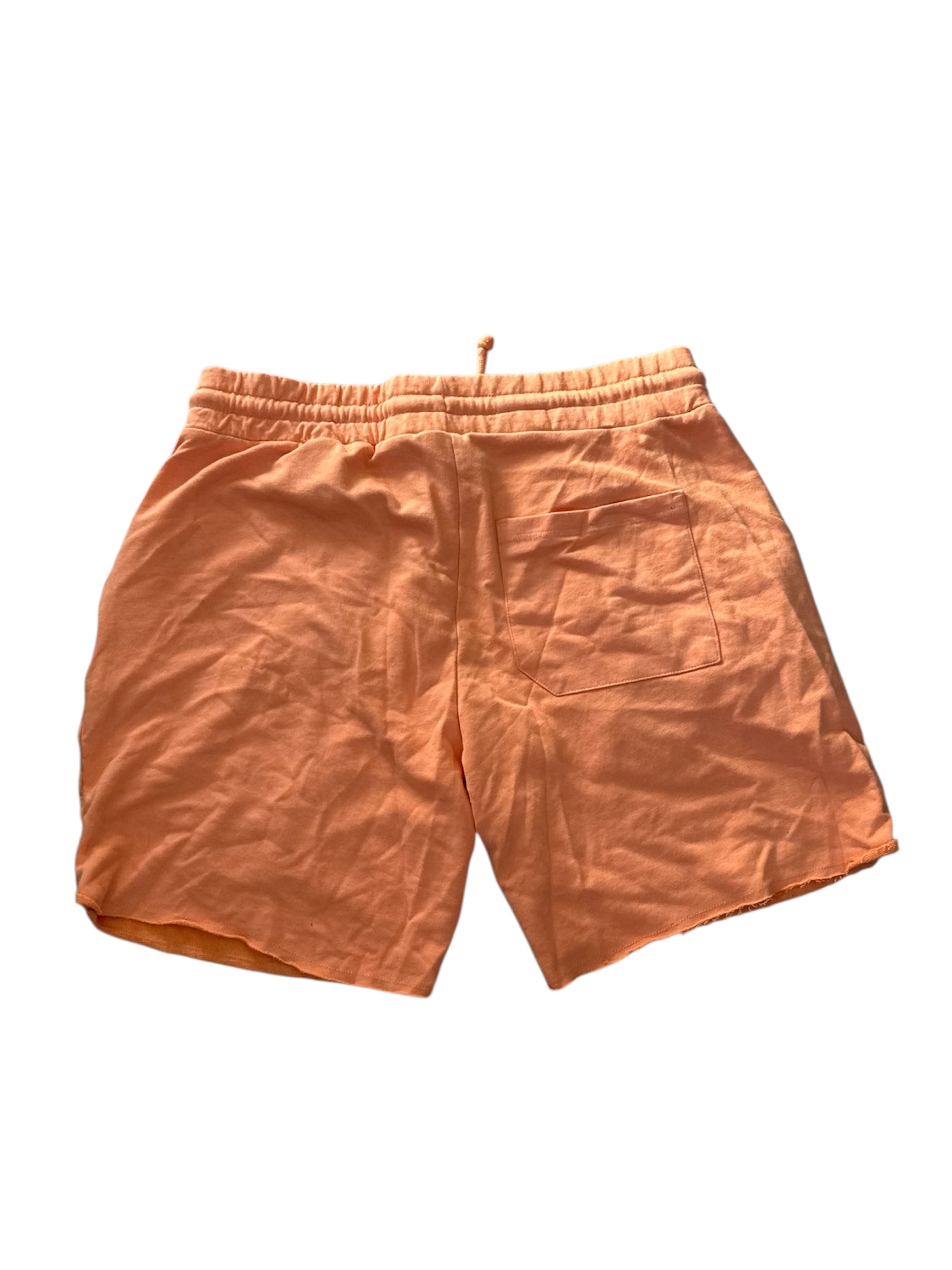 Chris Brown Orange Shorts