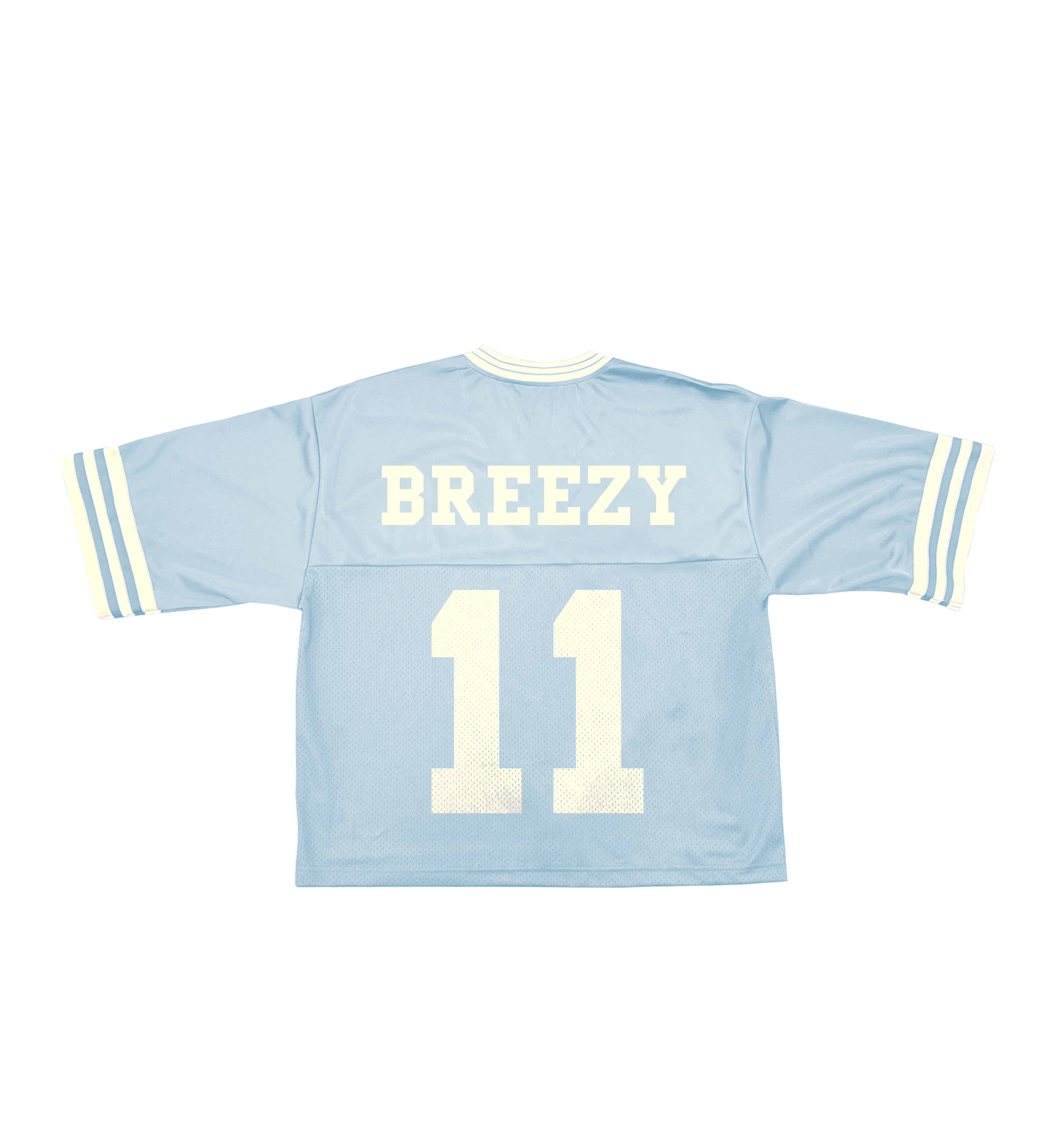 QUARTERJERSEY-P-BLUE-BACK.png