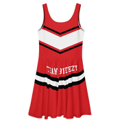 TEAM BREEZY CHEER SQUAD DRESS