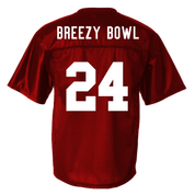 BREEZY BOWL 2024 MESH JERSEY