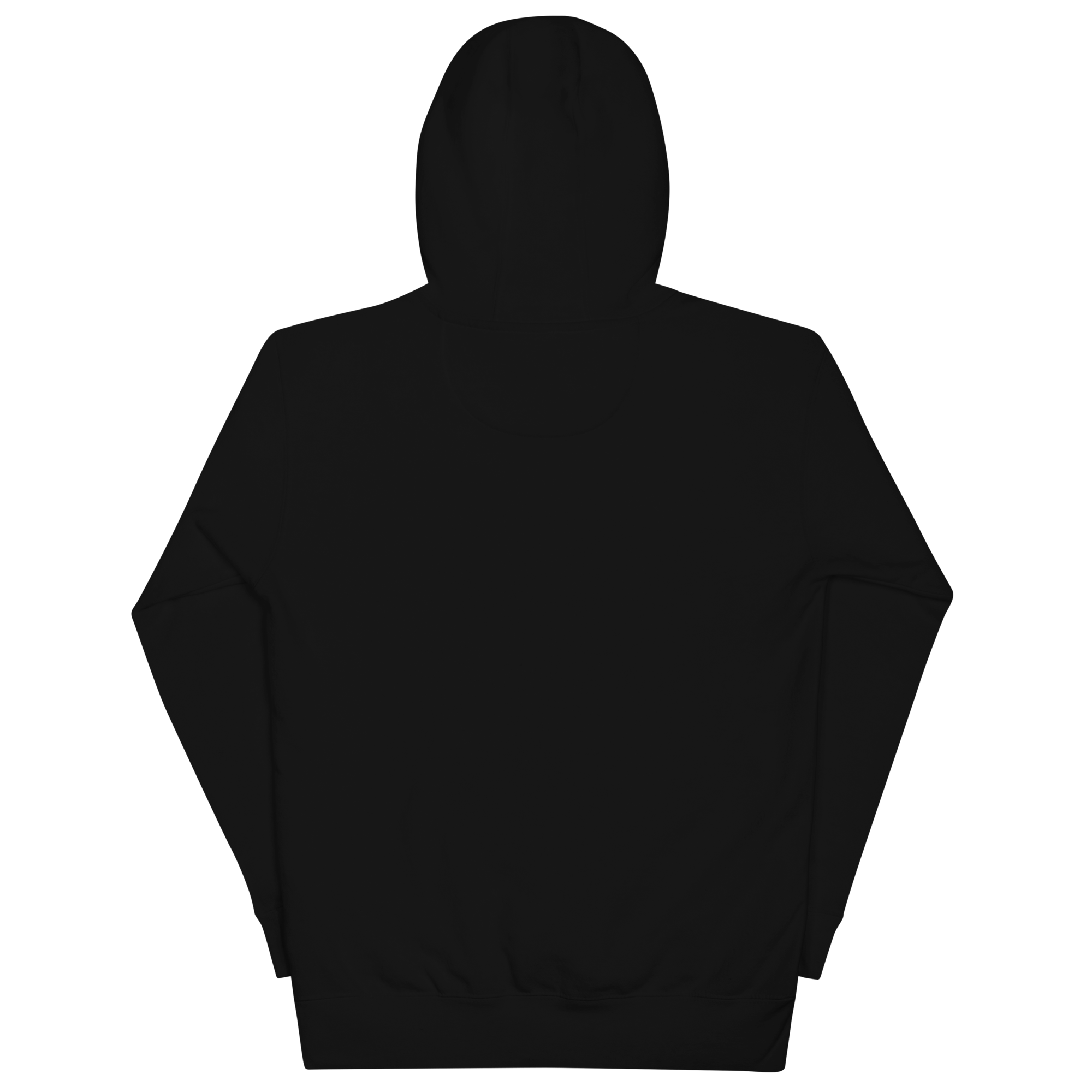 unisex-premium-hoodie-black-back-66b19c8d62eb9.png