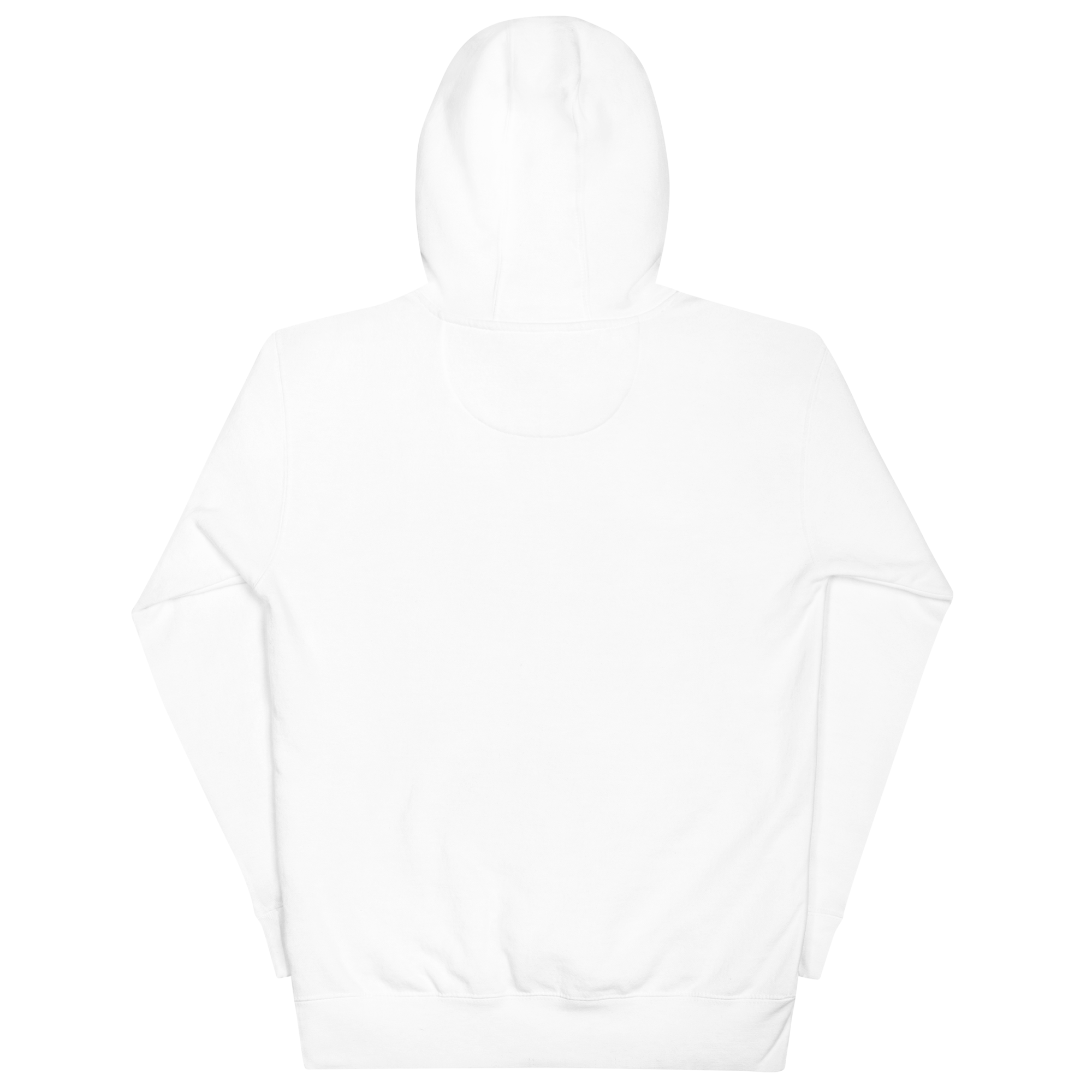 unisex-premium-hoodie-white-back-66b19bf92daec.png